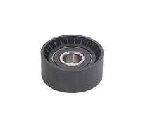 Puleggia tendicinghia, cinghia a V BTA B05-02-043