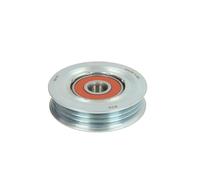 Puleggia tendicinghia, cinghia a V BTA E22027BTA