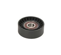 Puleggia tendicinghia, cinghia a V BTA E2Y0003BTA