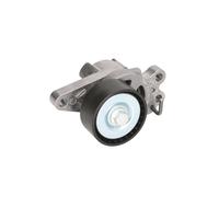 Puleggia tendicinghia, cinghia a V BTA E3C0013BTA