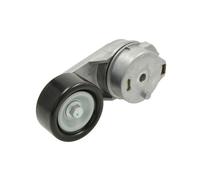 Puleggia tendicinghia, cinghia a V BTA E3W0013BTA