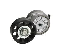 Dayco Puleggia tendicinghia APV1004, cinghia a V, tenditore automatico per Land Rover