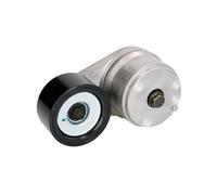 Puleggia tendicinghia, cinghia a V GATES T38504