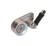 Puleggia tendicinghia, cinghia a V HUTCHINSON T3079