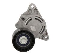 Puleggia tendicinghia, cinghia a V SNR GA355.26