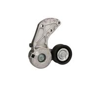 Puleggia tendicinghia, cinghia a V SNR GA357.59