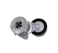 Puleggia Tendicinghia Cuscinetto Motore Per A6 4.2L 1997-2005 A8 S6 S8 RS6 077903133E Accessorio Per Auto Tenditore