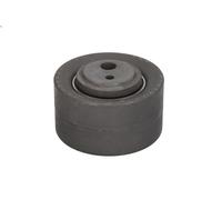 Puleggia tenditore, cinghia dentata INA 531 0257 10 per BOXER Autobus 2.5 1997-