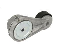 Puleggia tenditore, cinghia trapezoidale GATES T39190 per FORTWO Cabrio 1 2007-