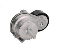 Puleggia tenditore, cinghia trapezoidale GATES T39291 9-5 (YS3G) 1.6 2010-2012