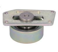 Puleggia tenditore, cinghia trapezoidale INA 531 0306 10 206 Van 1.1 2002-2007