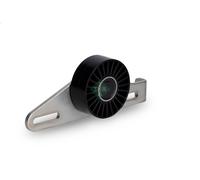 Puleggia tenditore, cinghia trapezoidale INA 531 0427 10 per SANDERO 1.6 2010-