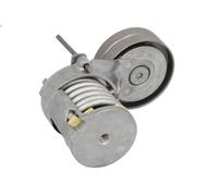 Puleggia tenditore, cinghia trapezoidale SKF VKM 31016 LEON (1M1) 1.4 1999-2006