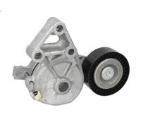 Puleggia tenditore, cinghia trapezoidale SKF VKM 31019 per A3 (8L1) 1.9 2000-