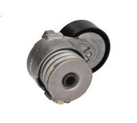 Puleggia tenditore, cinghia trapezoidale SKF VKM 36055 per JUKE (F15) 1.5 2010-