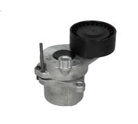 Puleggia tenditore, cinghia trapezoidale SKF VKM 38120 CALIBER 2.2 2010-2011