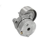 Puleggia tenditore, cinghia trapezoidale SKF VKMCV 51025 per AXOR 11.967 2002-