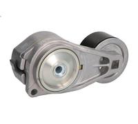 Puleggia tenditore, cinghia trapezoidale SKF VKMCV 56010 per T 11.705 2004-2005