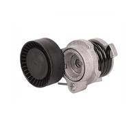 Puleggia tenditore Per BMW E53 E60 E63 E64 E65 11287549588 Ricambi Auto Tendicinghia 1 Pezzo Accessori Auto