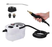 Pulitore a vapore ad alta pressione e alta temperatura, sterilizzatore portatile, compatibile con la cappa della cucina del condizionatore d'aria domestico(Silver,110 V)