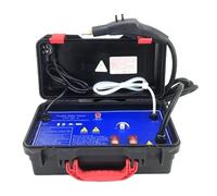 Pulitore a vapore elettrico ad alta temperatura e pressione, sterilizzatore a getto, compatibile con cappa da cucina, condizionatore d'aria(Type-1,220 V)