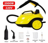 Pulitore a vapore multifunzione da 2000 W Sterilizzazione ad alta temperatura Disinfezione Detergente a vapore per interni auto per auto da cucina a pavimento