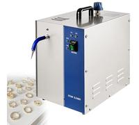 Pulitore a Vapore per Gioielli in Acciaio Inossidabile da 2L/4L - Rondella per Gemme da 1300W/2200W con Macchina per la Pulizia(4L)