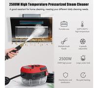Pulitore a vapore portatile da 2500 W Macchina per la pulizia a vapore pressurizzata ad alta temperatura con testine per mobili da cucina
