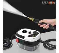 Pulitore a vapore portatile da 2500 W Macchina per lavatrice a getto di pressione per sterilizzazione ad alta temperatura per condizionatore d'aria da cucina per auto domestiche