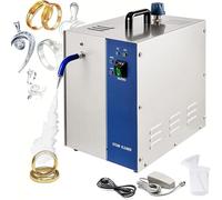 Pulitore a Vapore Professionale per Gioielli, 1300 W Ad Alta Pressione per La Pulizia Di Oro, Argento, Pietre Preziose E Diamanti, Per Anelli Orecchini in Gioiellerie E per Uso Domestico(2L standard)