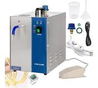 Pulitore A Vapore Professionale per Gioielli, Pulitore A Vapore per Gioielli in Acciaio Inossidabile, Rondella Gemma, Macchina per La Pulizia A Vapore di Gioielli in Argento(4L)