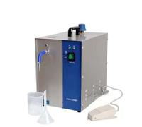 Pulitore a Vapore Versatile per La Casa E I Gioielli, Vaporizzatore Ad Alta Temperatura a 135 °c per La Pulizia Di Argento, Oro, Occhiali, Orologi, Monete E Componenti(2L standard)