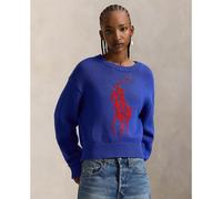 Pull a maniche lunghe con scollo rotondo e logo frontale Blu S Tinta unita