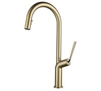 Pull-Out Kitchen Faucet 360 ° Swivel Kitchen Sink Faucet with Double Function Concealed Pull Down Spray Head Brass Single Handle Hot and Cold Kitchen Mixer Tap,Black (Color : Nero)