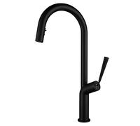 Pull-Out Kitchen Faucet 360 ° Swivel Kitchen Sink Faucet with Double Function Concealed Pull Down Spray Head Brass Single Handle Hot and Cold Kitchen Mixer Tap,Black (Color : Nero)