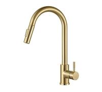 Pull Out Kitchen Faucet - Rubinetto per acqua a 2 vie, con manico singolo, 360, rotazione, Hot Cold Water Tap Kitchen Mixed Sink Tap (oro spazzolato, argento B)
