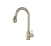 Pull Out Kitchen Faucet - Rubinetto per acqua a 2 vie, con manico singolo, 360, rotazione, Hot Cold Water Tap Kitchen Mixed Sink Tap (oro spazzolato (stop), argento B)