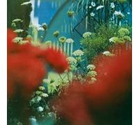 Pulled Apart By Horses - The Haze (2022 Repress)