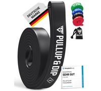 PULLUP & DIP Elastico Fitness per Trazioni, Bande Elastici Fitness con Borsa, Ga