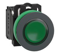 PULS.FLUSH LUM.VERDE LED 24V AC 1NA 1NC