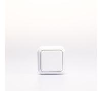 Pulsante da superficie | Finezza | Pulsante come campanello, apriporta, interruttore a chiave, pulsante basculante, pulsante accensione/spegnimento luce AP 250V/10A per interno, bianco