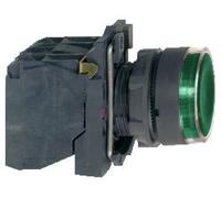 Pulsante di comando illuminato verde Harmony XB5 XB5AW3365