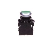 Pulsante di controllo 22 mm verde con titanio RMQ 216512