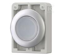 Pulsante illuminato piatto 30mm bianco M30C-FDL-W 182925