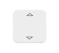PULSANTE INTERRUTTORE BUSCH-JAEGER 2CKA006430A0314