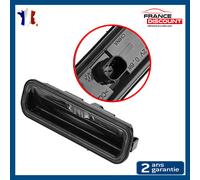 Pulsante Maniglia Bagagliaio Per FORD TRANSIT CONNECT V408 - BM5119B514AD