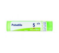 PULSATILLA*5CH 80GR 4G BO