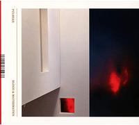 Pulshar - Blood and Mathematics