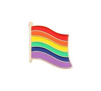 pulunto Spilla smaltata Pride Lesbiche Gay Rainbow Flag Spilla Pansessuale Asessuale Bisessuale Transgender Cuore Gioielli Simbolo Distintivo, 1PCS
