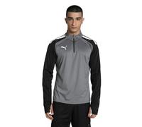 Felpa Puma Team Liga Gris S